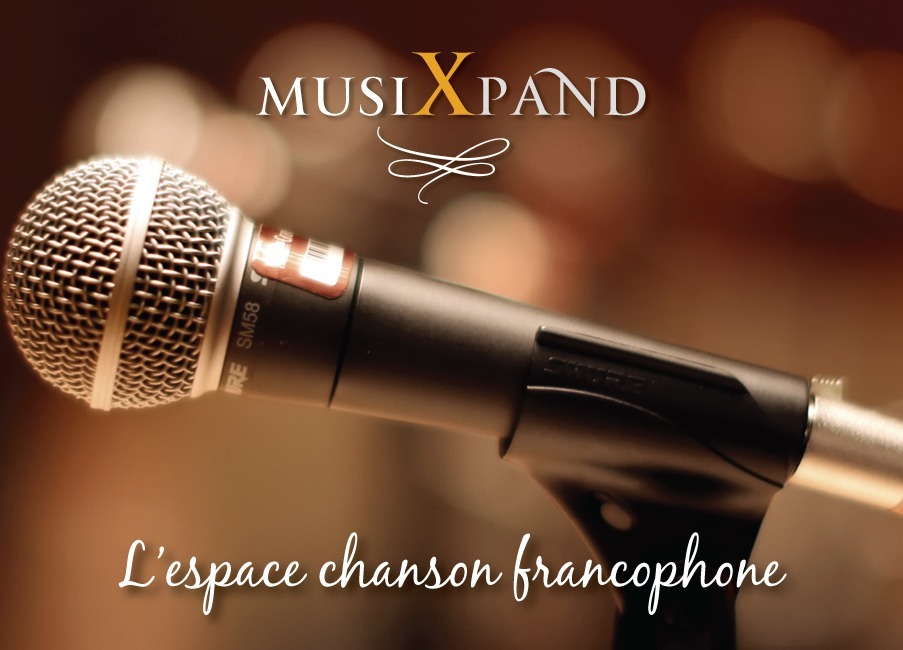 Lancement du projet sur la chanson francophone MusiXpand avec Raphaël Vaucourte